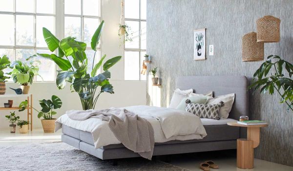 Boxspringbett von Bico in einem mit Pflanzen eingerichteten Schlafzimmer