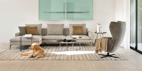 Gemütliches Wohnzimmer mit Sofa, Sessel, Kissen und Decken. Auf dem Teppich liegt ein Hund vor dem Sofa.