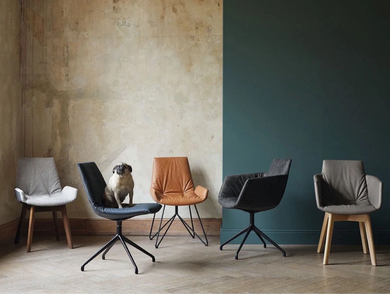 Wohnwand cubus von Team 7 in einem gemütlichen Wohnzimmer