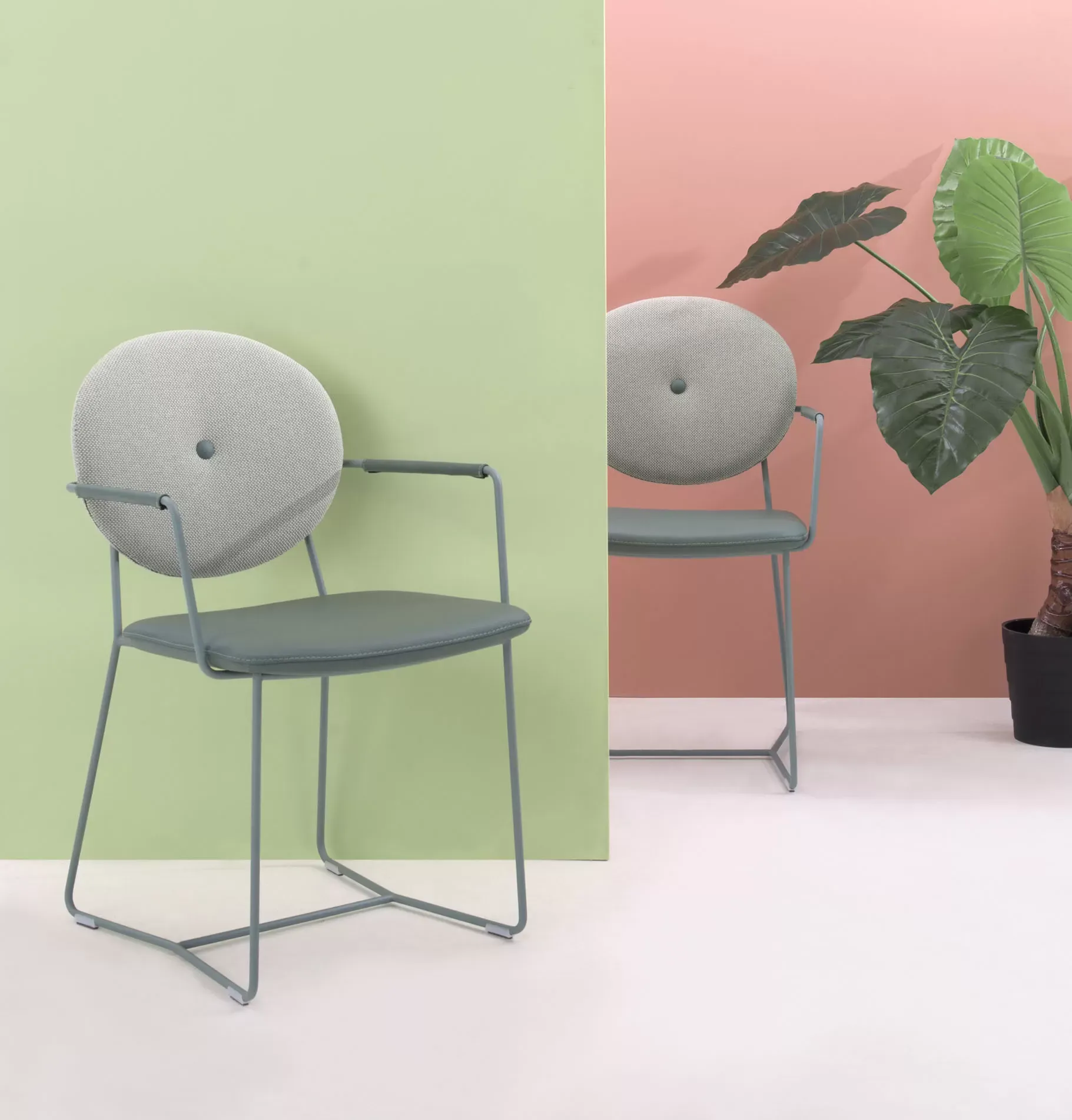 Stuhl «Daisy» von «Bert Plantagie» 